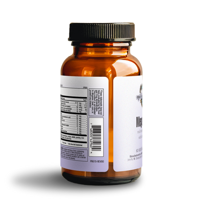 Mega 1 Daily Multivitamin + Minerals (60 Vegetarian Capsules)